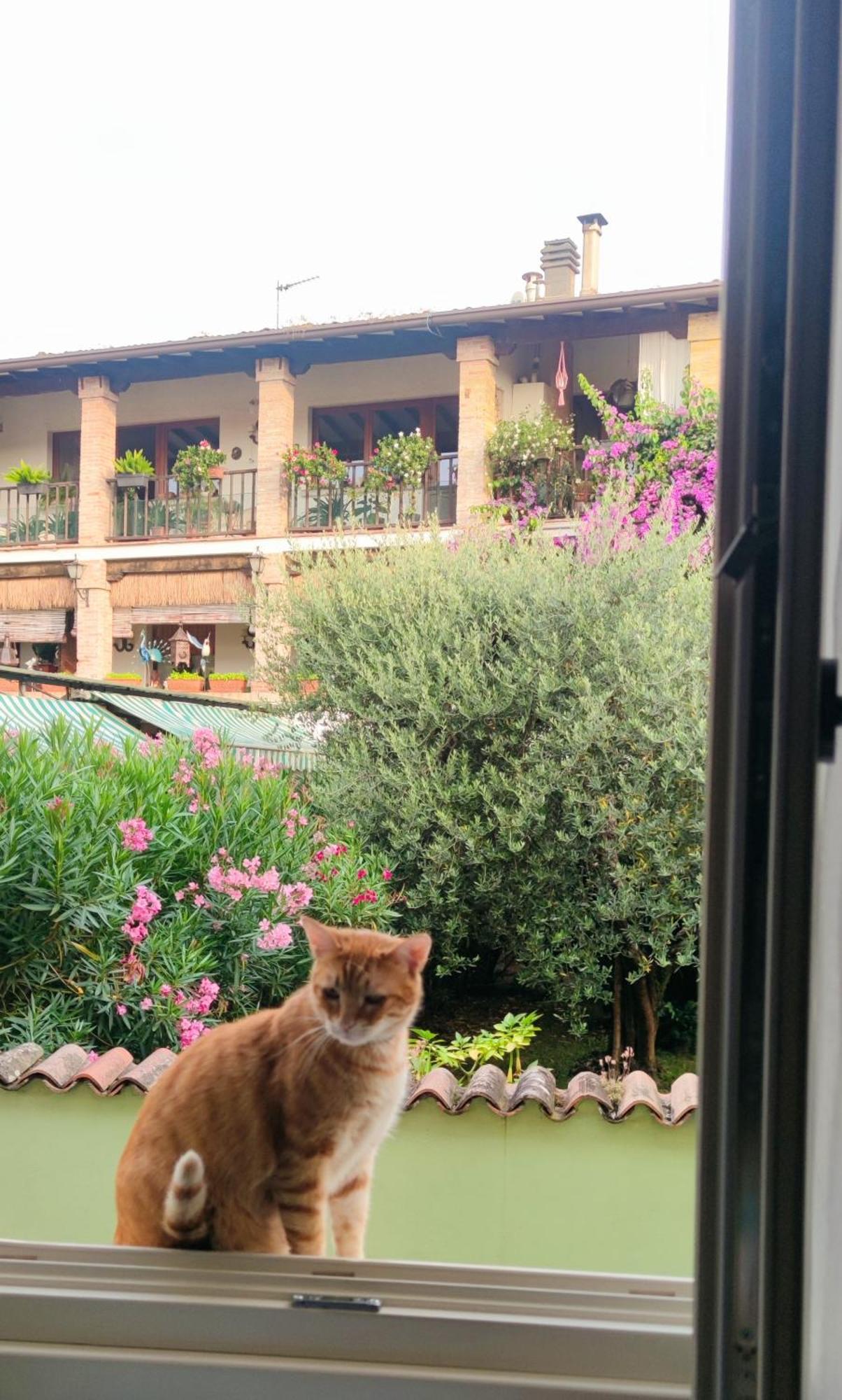 Dolce Lago B&B San Felice del Benaco Exterior photo